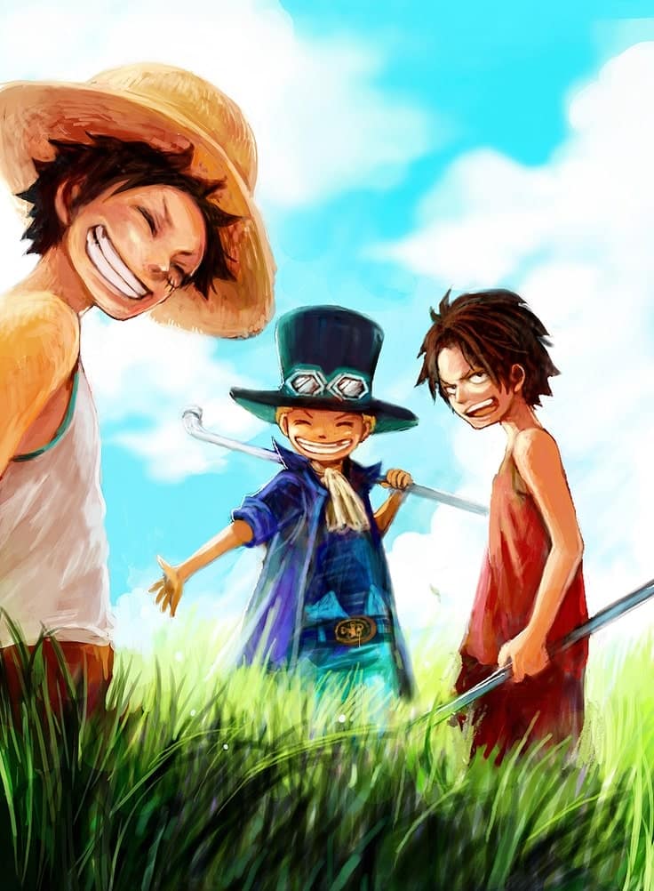 Hình ảnh mới về... - Hội những người ăn ngủ cùng One Piece | Facebook